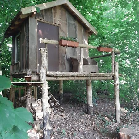 فندق Baumhausnaechte Ladbergen المظهر الخارجي الصورة
